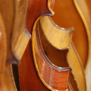 Nahaufnahme mehrerer Celli in der Werkstatt